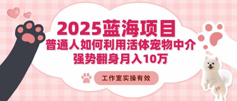 (16489期)2025蓝海项目:普通人如何利用活体宠物中介,强势翻身月入10万_生财有道创业项目网-生财有道