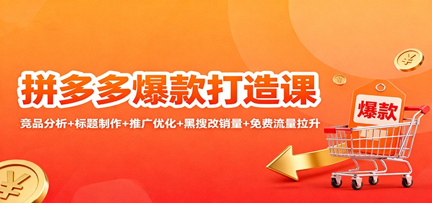 拼多多爆款打造课:竞品分析+标题制作+推广优化+黑搜改销量+免费流量拉升_生财有道创业网-生财有道