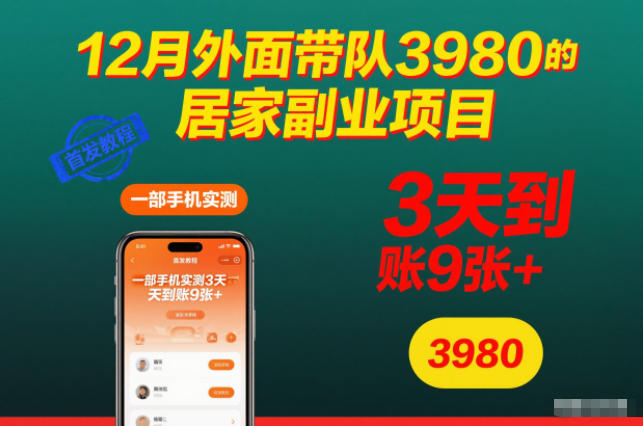 12月外面带队3980的居家副业项目,一部手机实测3天到账9张+,首发教程【揭秘】——生财有道创业项目网-生财有道