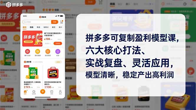 （16952期）拼多多可复制盈利模型课，六大核心打法、实战复盘、灵活应用，模型清晰，稳定产出高利润_生财有道创业项目网-生财有道