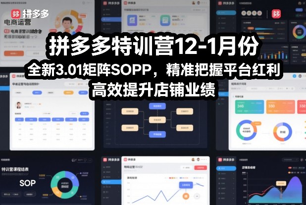 拼多多特训营12-1月份,全新3.01矩阵Sop,精准把握平台红利,高效提升店铺业绩——生财有道创业项目网-生财有道