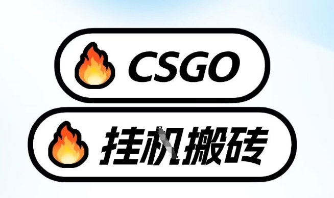 真全网独家CSGO挂G，最新玩法,单日捡漏1K+，不用电脑，不用打游戏【揭秘】——生财有道创业项目网-生财有道