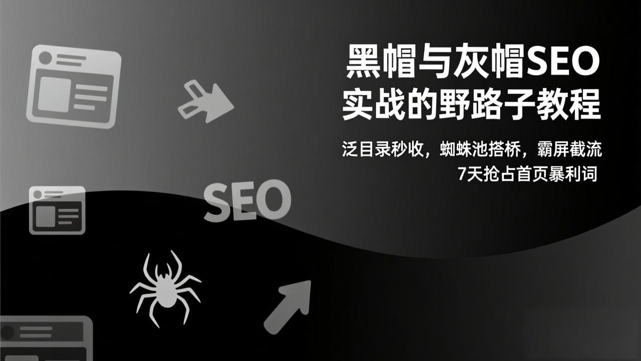 （17125期）黑帽与灰帽SEO实战的野路子教程：泛目录秒收，蜘蛛池搭桥，霸屏截流，7天抢占首页暴利词_生财有道创业项目网-生财有道