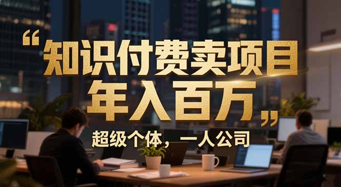 （17134期）从0到年入百万：超级个体实战心得公开，个人IP×精准引流×成交系统全拆解_生财有道创业项目网-生财有道
