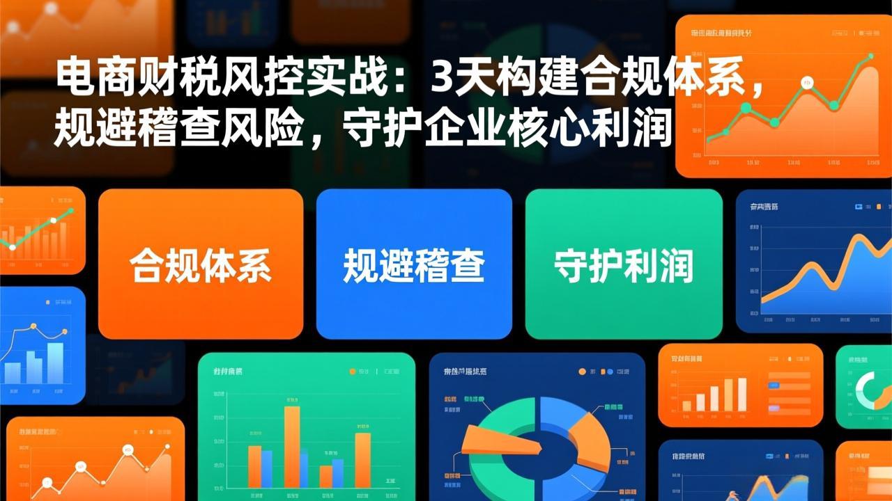 (17197期)电商财税风控实战:3天构建合规体系,规避稽查风险,守护企业核心利润_生财有道创业项目网-生财有道