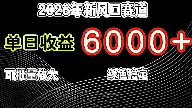 （17135期）2026年新风口赛道，当日6000+以上，可批量放大，月收入20万+，长期绿色稳定的项目_生财有道创业项目网-生财有道