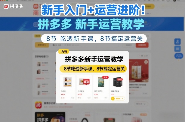 新手入门+运营进阶！拼多多新手运营教学，8节吃透新手课，8节搞定运营关——生财有道创业项目网-生财有道