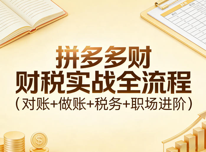 拼多多财税实战全流程（对账+做账+税务+职场进阶）——生财有道创业项目网-生财有道