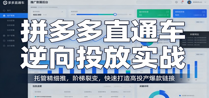 拼多多直通车逆向投放实战:托管精细推,阶梯裂变,快速打造高投产爆款链接_生财有道创业网-生财有道