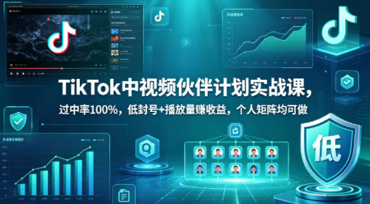 TikTok中视频伙伴计划实战课，过中率100%，低封号+播放量賺收益，个人矩阵均可做——生财有道创业项目网-生财有道