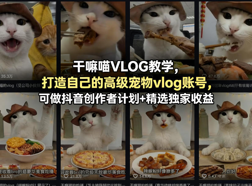 干嘛喵VLOG教学，打造自己的高级宠物vlog账号，可做抖音创作者计划+精选独家收益——生财有道创业项目网-生财有道