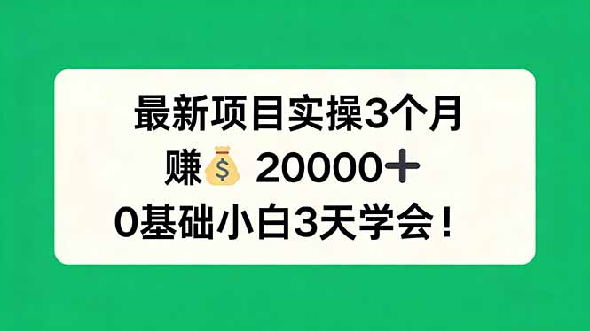 （17856期）最新项目实操3个月，赚钱20000+，0基础小白3天学会！_生财有道创业项目网-生财有道