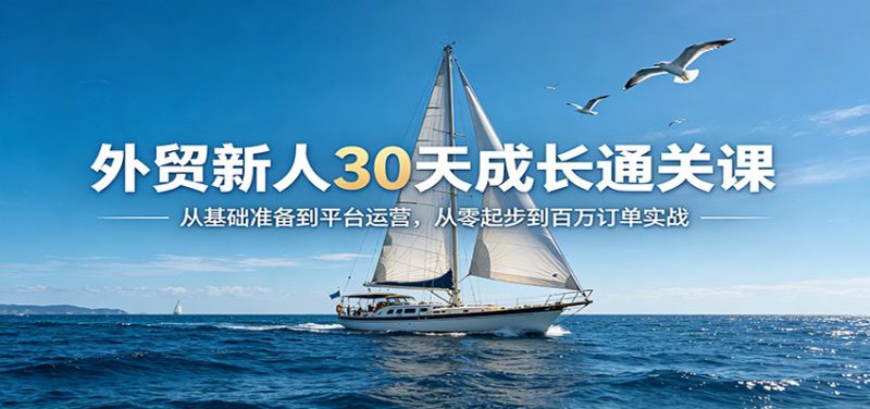外贸新人30天成长通关课：从基础准备到平台运营，从零起步到百万订单实战_生财有道创业网-生财有道