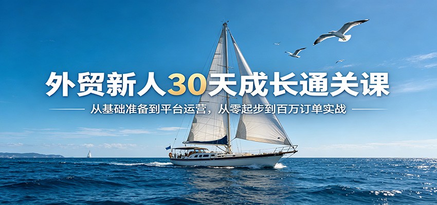 外贸新人30天成长通关课：从基础准备到平台运营，从零起步到百万订单实战_生财有道创业网-生财有道