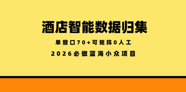 酒店智能数据归集,小众蓝海已经稳定半年之久,单窗口70+零成本矩阵开干【揭秘】——生财有道创业项目网-生财有道