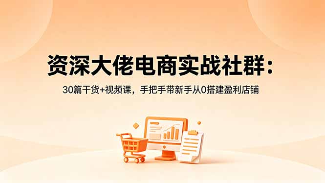 （18529期）资深大佬电商实战社群：30篇干货+视频课，手把手带新手从0搭建盈利店铺_生财有道创业项目网-生财有道