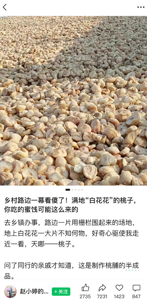 图片[2]-公众号小绿书贴图项目，赚收益实操玩法，听话照听话照少走90%弯路丨副业可做——生财有道创业项目网-生财有道