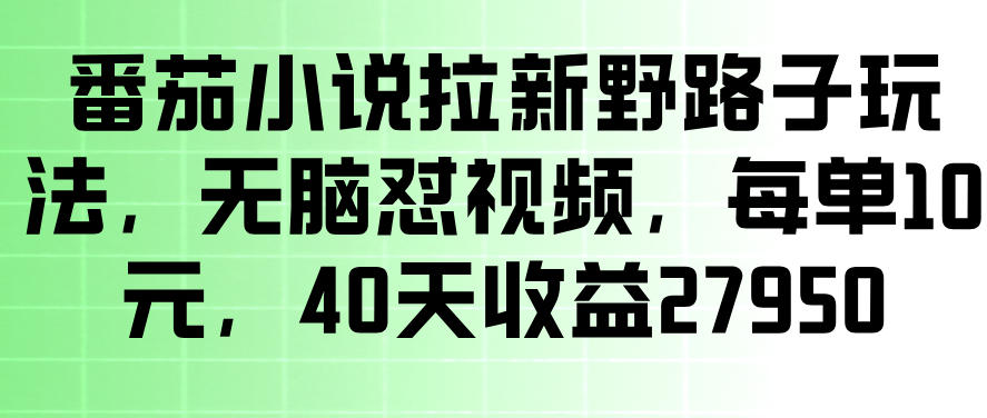 番茄小说拉新野路子玩法,无脑怼视频,玩法简单、见效快,每单10米,40天收益27950——生财有道创业项目网-生财有道