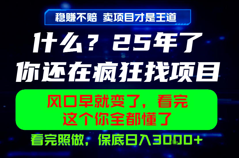 26年，请不要疯狂的找项目做了！卖项目才是真的稳賺不赔，看完照做，保底日入1k+【揭秘】——生财有道创业项目网-生财有道