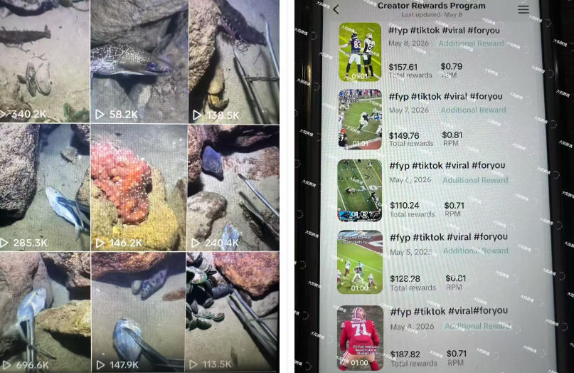Tiktok中视频解说教程，体育+温情文案双赛道实操教程一站式带你落地，教你出海賺美刀——生财有道创业项目网-生财有道