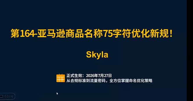(19352期)亚马逊跨境实战课:全品类选品逻辑|SP/SB/SD广告精细化|新品打爆旺季爆单全套运营教程_生财有道创业项目网-生财有道