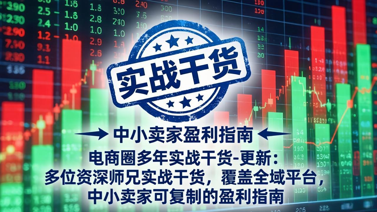 （19761期）电商圈多年实战干货-更新2026：多位资深师兄实战干货/覆盖全域平台，中小卖家可复制的盈利指南_生财有道创业项目网-生财有道