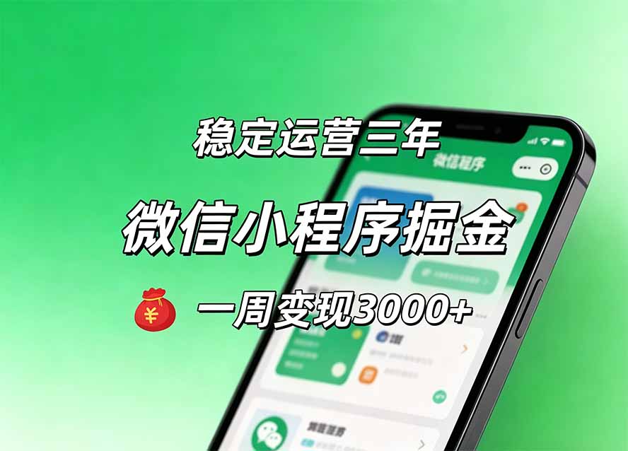 (20077期)月收益稳定1W+的微信小程序,前期积累客户,后期躺平养老,小白轻松上手_生财有道创业项目网-生财有道