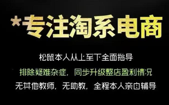 松鼠会电商VIP课程，从基础布局到高阶优化，助你掌握淘宝运营逻辑，提升店铺流量与转化（更新0910）——生财有道创业项目网-生财有道