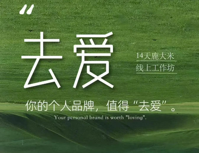 去爱14天鹿大米线上工作坊,你的个人品牌,值得“去爱”——生财有道创业项目网-生财有道