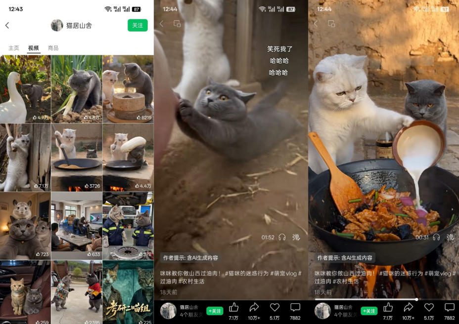 图片[2]-猫咪慢生活短视频教学，AI搞笑萌宠赛道，视频号分成+精选独家+伙伴计划+商单收徒等多种变现方式——生财有道创业项目网-生财有道