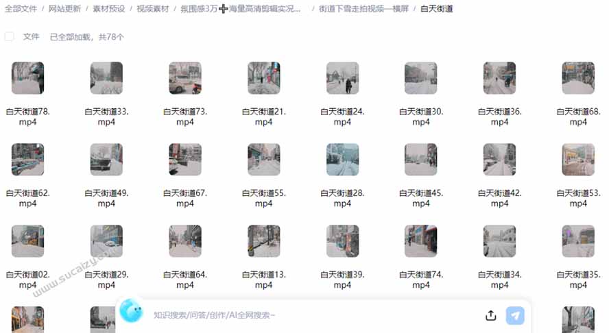 图片[6]-（21009期）氛围感3万+海量高清剪辑实况素材，含雨天、雪天、夜景、街道等经典场景，伤感唯美励志短视频无水印素材_生财有道创业项目网-生财有道
