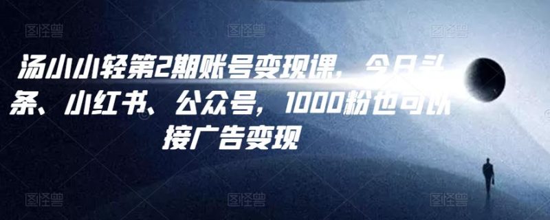 汤小小账号变现课第2期,今日头条、小红书、公众号,1000粉也可以接广告变现-生财有道