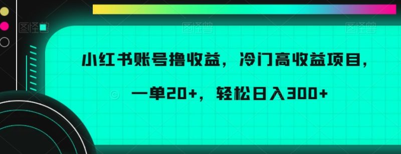 小红书账号撸收益，冷门高收益项目，一单20+，轻松日入300+【揭秘】-生财有道