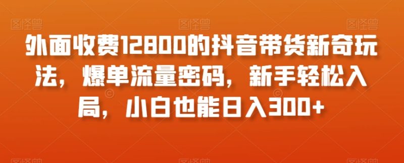 外面收费12800的抖音带货新奇玩法，爆单流量密码，新手轻松入局，小白也能日入300+【揭秘】-生财有道