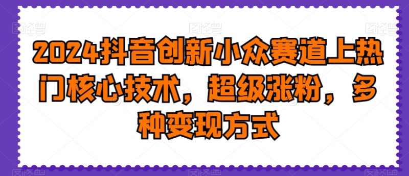 2024抖音创新小众赛道上热门核心技术，超级涨粉，多种变现方式【揭秘】-生财有道