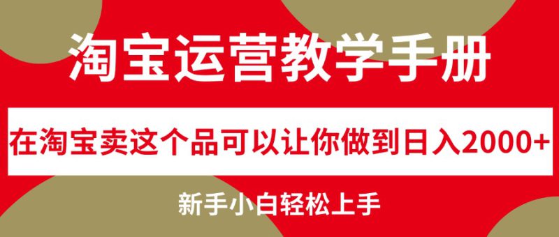 (12351期)淘宝运营教学手册,在淘宝卖这个品可以让你做到日入2000+,新手小白轻..._生财有道创业网-生财有道