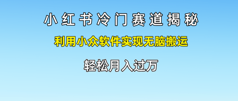 小红书冷门赛道揭秘,利用小众软件实现无脑搬运，轻松月入过万-生财有道