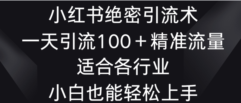 小红书绝密引流术,一天引流100+精准流量,适合各个行业,小白也能轻松上手-生财有道