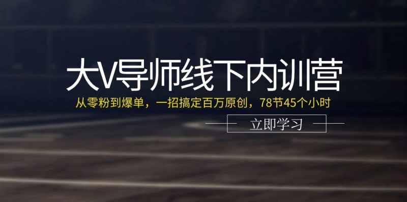 大V导师线下内训营:从零粉到爆单,一招搞定百万原创(78节45个小时)-生财有道