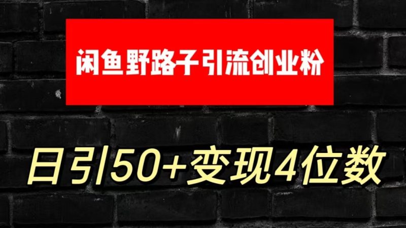 大眼闲鱼野路子引流创业粉,日引50+单日变现四位数-生财有道