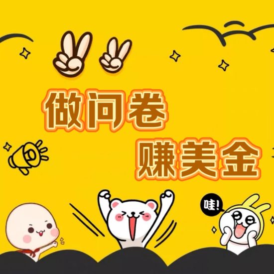 国外问卷调查小白家也可批量操作(口子查站点查渠道查)真正的长久稳定项目 日入1500+-生财有道