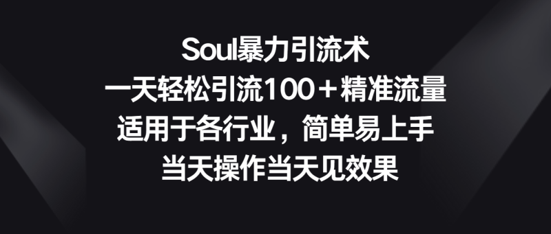 Soul暴力引流术，一天轻松引流100＋精准流量，适用于各行业，简单易上手！-生财有道