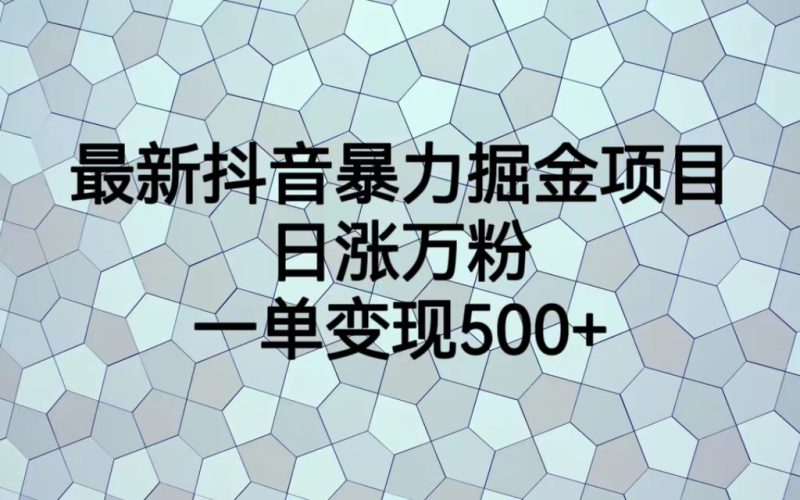 (6660期)最新抖音暴力掘金项目,日涨万粉,一单变现500+-生财有道