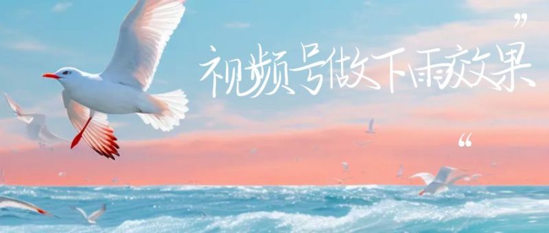 (6637期)视频号做下雨视频一个账号一周涨粉10W+年入100w-生财有道