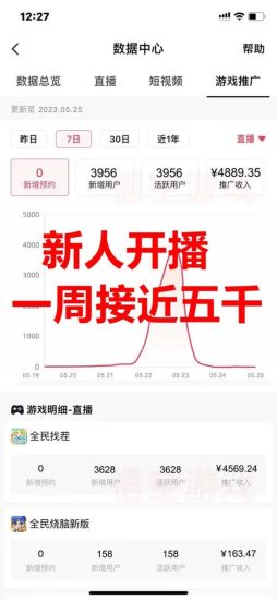 (7335期)抖音爆火的悬疑解谜小游戏【隐秘的档案】无人直播玩法【教程+游戏+工具】-生财有道