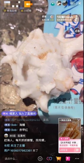 （7228期）最新抖音+快手赶海无人直播流量庞大，效果出奇的好（教程+素材）-生财有道
