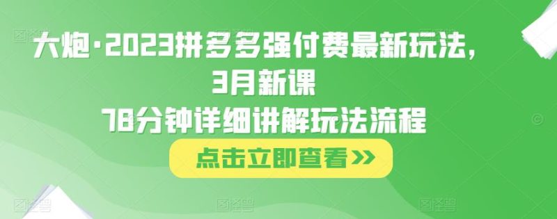 大炮·2023拼多多强付费最新玩法,3月新课78分钟详细讲解玩法流程-生财有道
