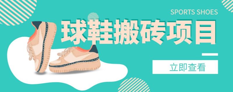 【搬砖必备】外面收费998的球鞋搬砖项目,月入轻松5000+的项目案例解析-生财有道