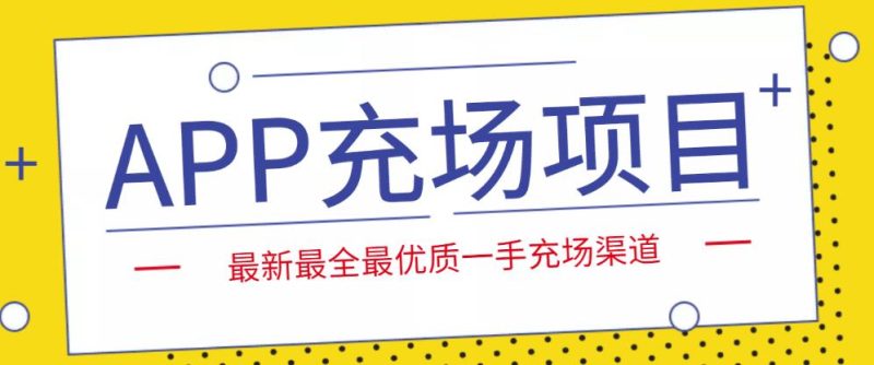 外面收费9800的APP充场项目，实操一天收入800+个人和工作室都可以做-生财有道