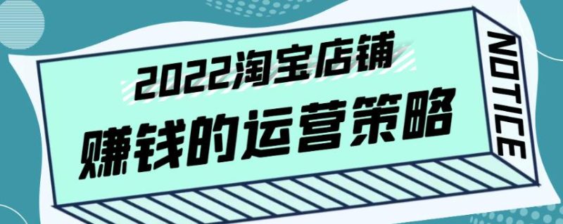 震宇老师·2022年淘宝店铺赚钱的运营策略，一套能够盈利的赚钱打法-生财有道